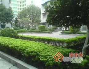 华景新城华门阁小区图片