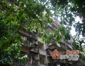 中约外街小区小区图片