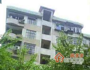 桔芳园小区图片