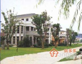 桐林别墅小区图片