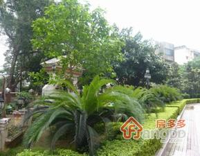 金山阁小区图片