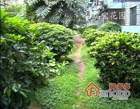 瑞宝花园小区图片