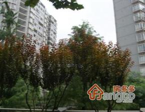 凤鸣苑小区图片