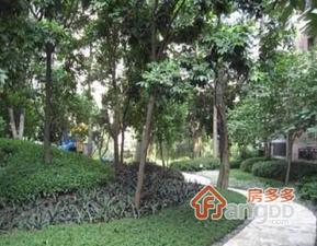 星河湾三期(荟心园)小区图片