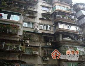 桂花路小区小区图片