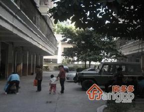 粤华小区小区图片