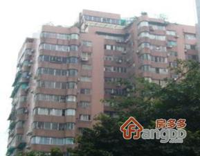 珠光路小区小区图片