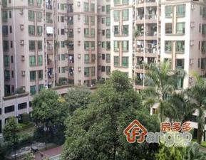 革新路小区图片