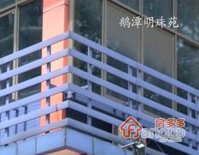 鹅潭明珠苑小区图片