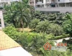 侨雅苑小区图片