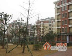 金域中央街区一期小区图片