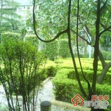 小康人家小区图片