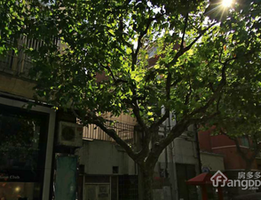 新乐路27号小区图片