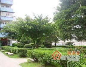 乐嘉路小区图片