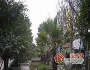 盈丰路小区图片
