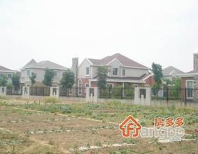 金澄明珠小区图片