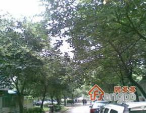茶西里小区小区图片