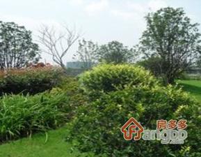 雍景园小区图片