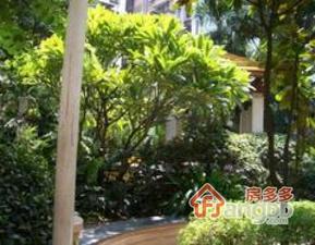 龙庭阁小区图片