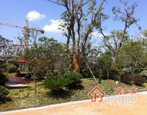 花样年别样城小区图片
