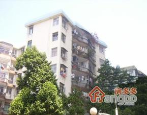 交通局宿舍小区图片
