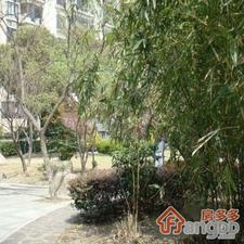 泾南教师公寓小区图片