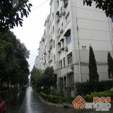 金光小区小区图片