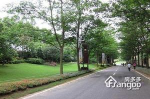 新光城市花园别墅小区图片