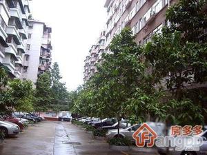 中港四航局宿舍小区图片