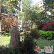 思致公寓小区图片