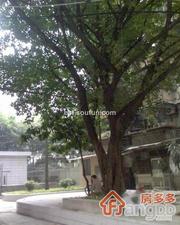 沙河大街小区小区图片