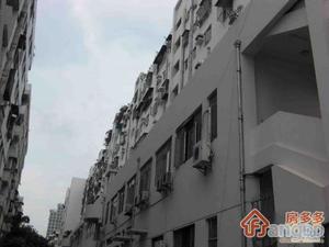蛇口统建楼小区图片