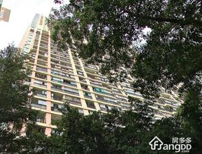 景华苑(福田)小区图片