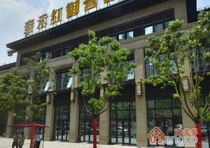泰禾红御小区图片