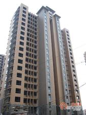 新虹桥首府(公寓)小区图片