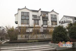 金山别墅小区图片