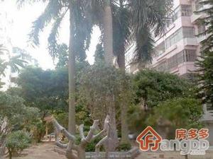 荔景楼小区图片