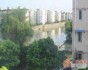江桥新苑小区图片