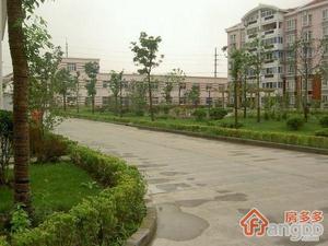 新望花园小区图片