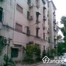 双阳路594弄小区图片