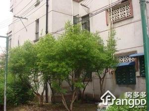 佳木斯路185弄小区图片