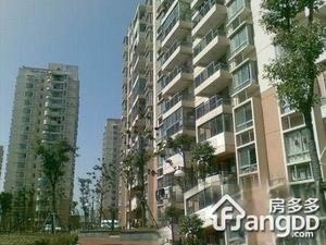 市光新苑小区图片