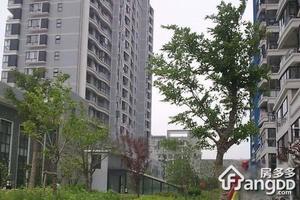 杰圣家苑小区图片