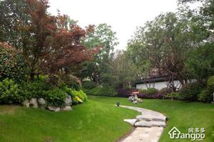 松江颐景园(公寓)小区图片