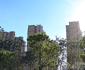 永康城佳兴苑小区图片