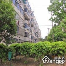 春雷路431弄小区图片