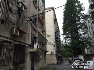 清溪路4号小区图片