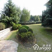 丽都别墅小区图片