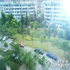 石龙西块小区图片