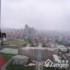 星宇大楼小区图片